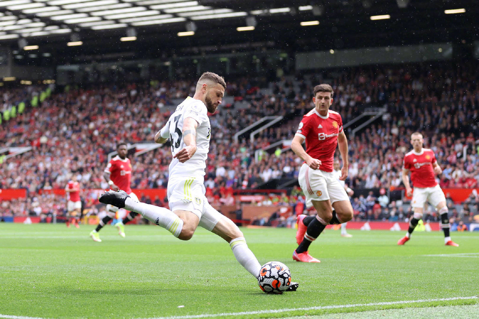 界中占据主 界中占据主